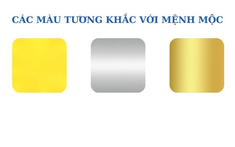 Những màu sơn mệnh Mộc tuyệt đối không được sử dụng cho nhà ở