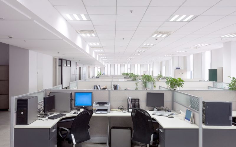 Mẫu trần thả cho văn phòng kín, bố trí cây xanh thông thoáng