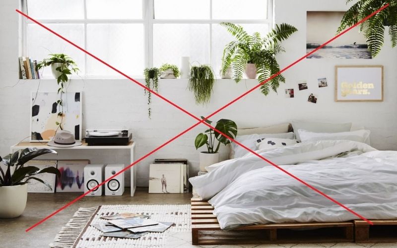 Hạn chế bố trí nhiều cây xanh trong phòng ngủ