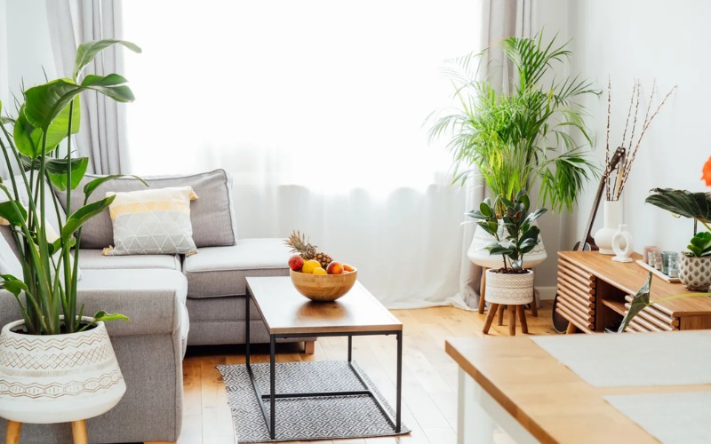 Cây xanh cũng mang lại ý nghĩa tốt về mặt phong thủy